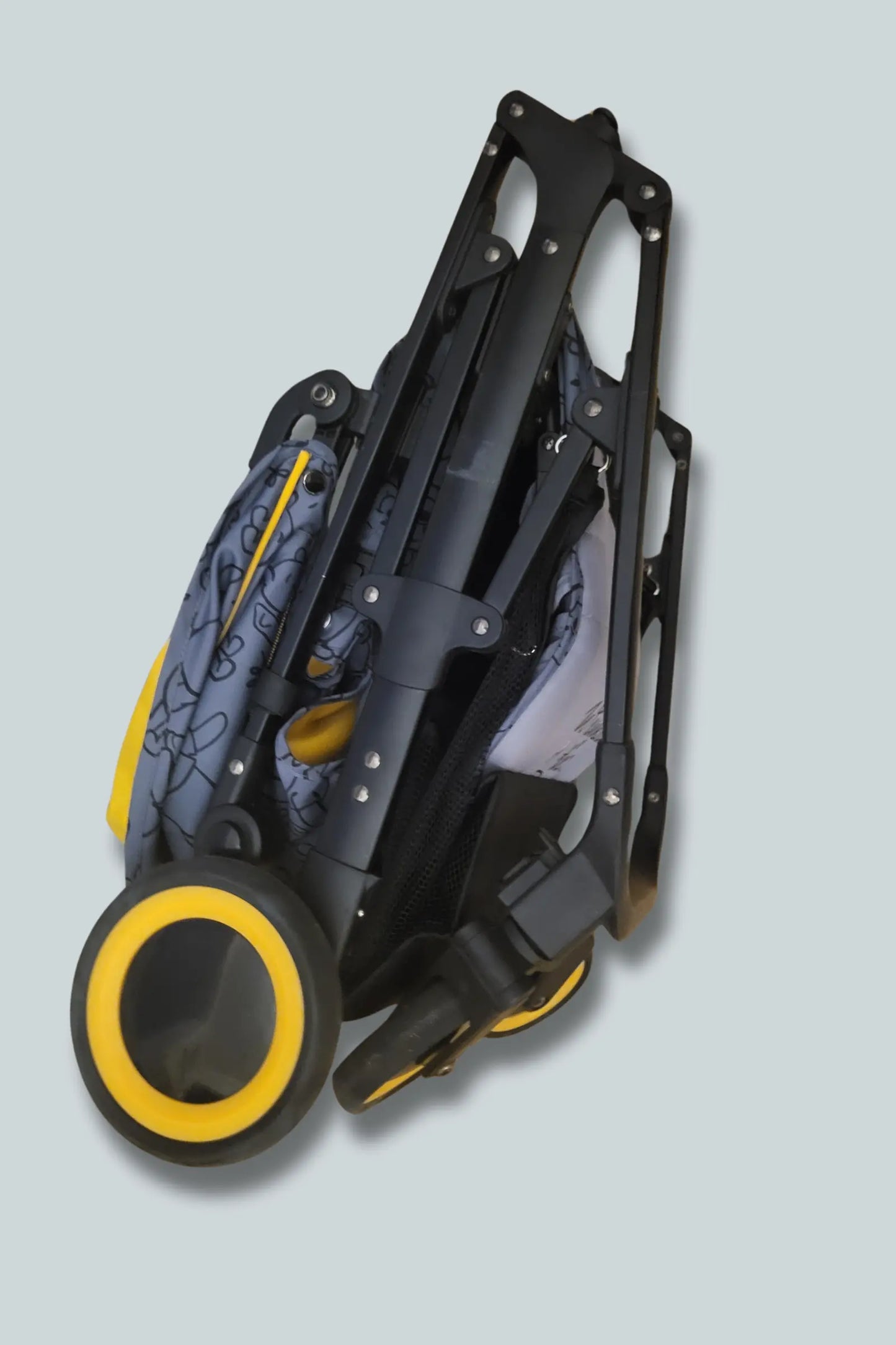 2025/01/1000107619.png