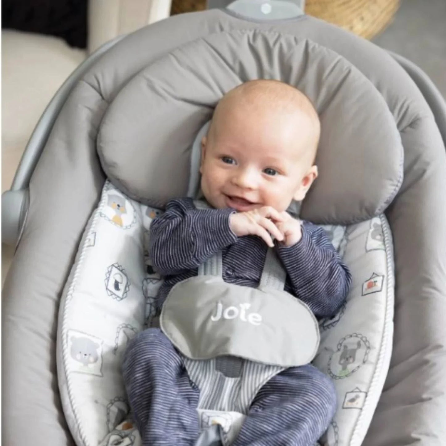 Joie Serina 2-in-1 Swing - Cosmo Grey