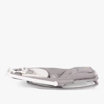 Joie Dreamer Rocker - Fern